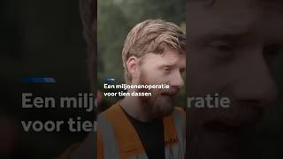 Thumbnail for Miljoenenoperatie voor tien dassen