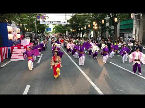 ふくこいどんたく隊① 博多どんたく港まつり 2019.5.4(土)