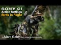 Sony Alpha 1 Camera Settings for Shooting Action and Birds in Flight