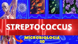 STREPTOCOCCUS - MICROBIOLOGIA (BACTÉRIAS PATOGÊNICAS) - PYOGENES E PNEUMONIAE