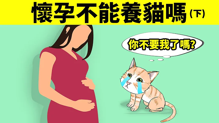 怀孕不能养猫吗？ （下）猫毛篇 | 猫毛会被吸入肺里吗？猫毛会引发哮踹、鼻炎、过敏吗？ - 天天要闻