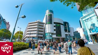 Tokyo Omotesando And Ura-Harajuku 2021 Spring 4K