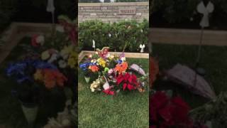 Paul Walker Grave - Forest Lawn Hollywood Hills 2017