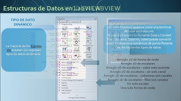 TIPOS DE DATOS DINÁMICOS