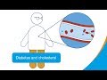 Diabetes and cholesterol  how it works  diabetes uk