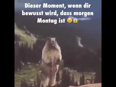 Guten Morgen Montag Schone Montagsgrusse Zum Wochenstart