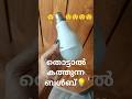 ഇതൊക്കെ എനിക്ക് അതിശയമായിരുന്നു😲#science#electricity#conductor#humanbody#bulb#glow#shorts#physics