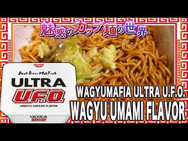 WAGYUMAFIA ULTRA U.F.O. WAGYU UMAMI FLAVOR [4944 Cups of
