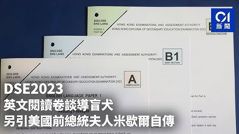 DSE2023｜英文阅读卷谈导盲犬　另引美国前总统夫人米歇尔自传｜01新闻｜微型小说｜英文阅读卷｜DSE｜写作｜英文 - 天天要闻