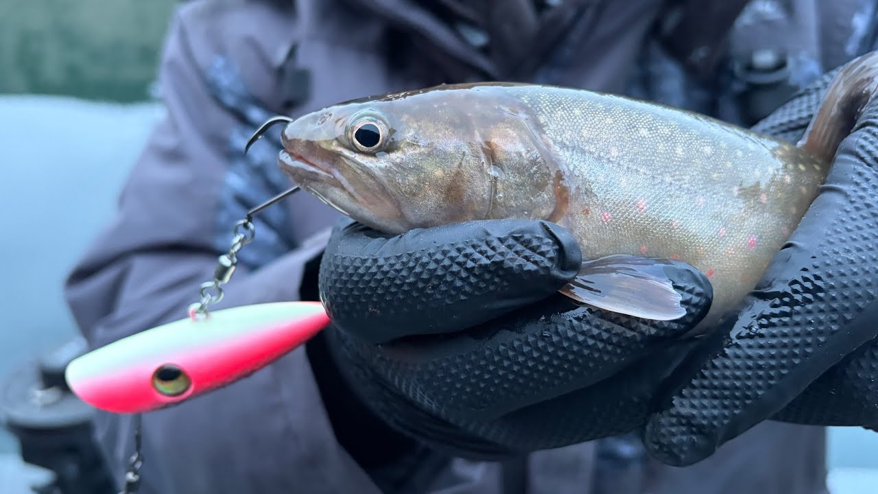 Заброс и троллинг приманок для ловли форели