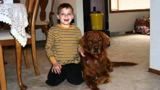 Golden Retiever Rescue of Wisconsin.wmv