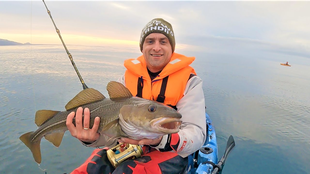 ŁOWIMY między SIECIAMI, ale BIORĄ!!!!