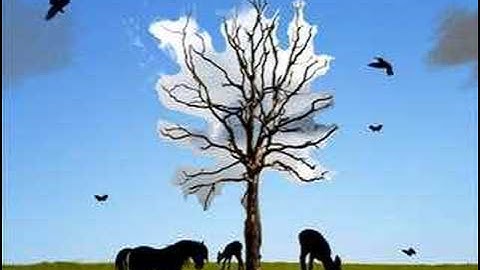 Low Fidelity Prototype - The EnviroScape