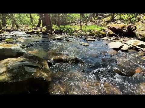 EP 252 - 4K Smokee Mountains Cades Cove Creek 02, April 2026