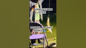 Unbelievable! Banana Leaf Bait Lands a Beastly Catfish! 🌙🔥