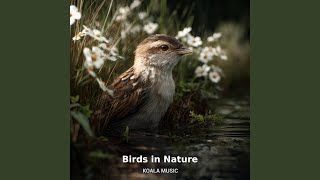 Authentic Birds in Nature with Ambient Forest Sounds, Pt.23