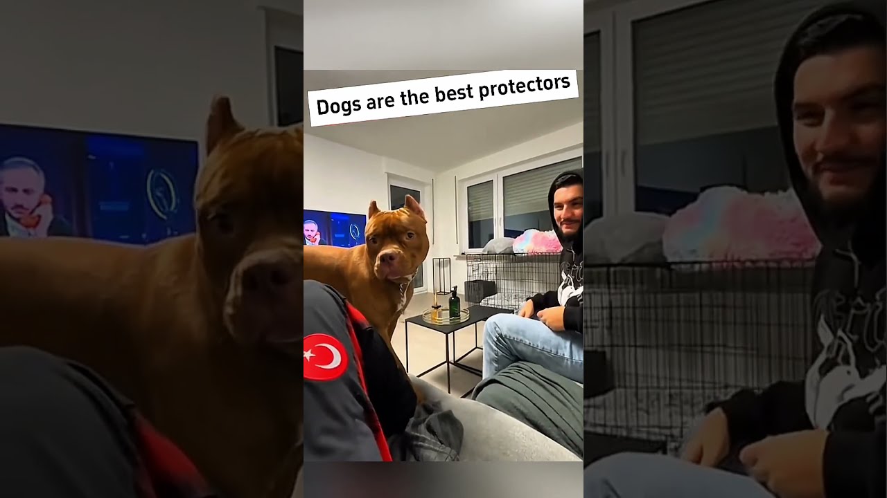 Don T Click The Sound I Beg 