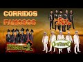 Los Tucanes De Tijuana, Los Tigres Del Norte, Grupo Exterminador - Puros Corridos