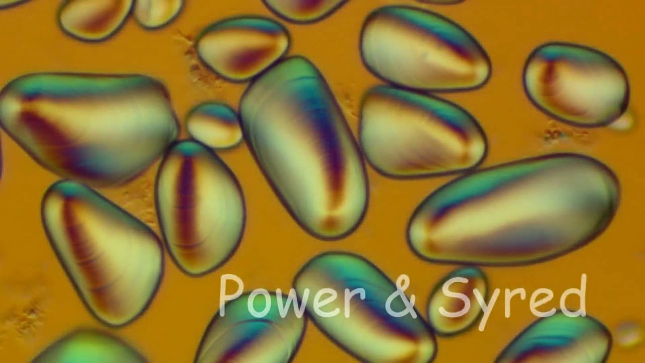 starch/polarised light