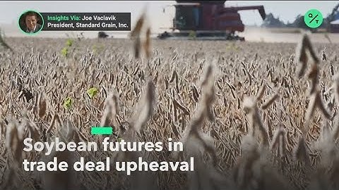 Soybean futures rest on trade deal specifics