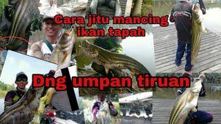 Cara jitu mancing ikan tapah dng Lure umpan tiruan screenshot 1