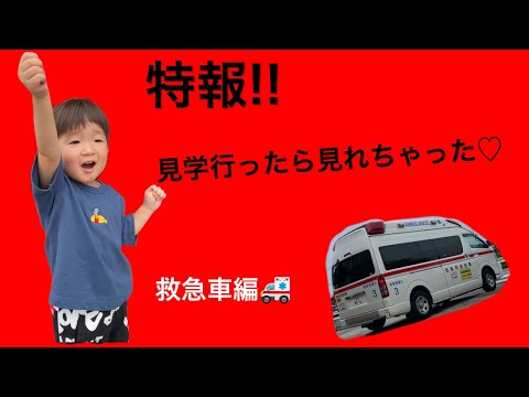 【救急車緊急出動】皇帝くん大興奮の巻！！