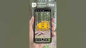 My Scanner - Count Objects Automatically