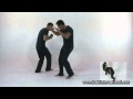 Rvolution des ailes wing tsun victor guitierrez