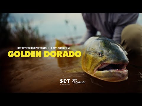 okuma celilo rods Trout Combo Color:3/0# And Okuma didnt forget International Shipping Plusinno Telescopic Best Collapsible