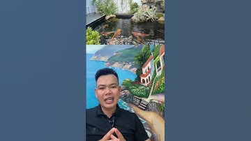 Cách khắc phục nước hồ cá koi sau cơn mưa, nổi bọt , nước đục và cá bị stress #hokoi #shorts #short