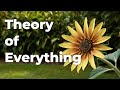Maurice Nicoll Psychological Commentaries: Volume One - The Law of Seven & The Sun Octave (Part 7)