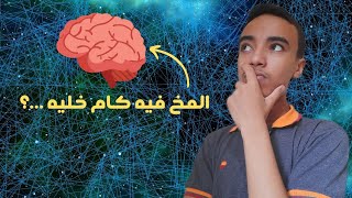 عدد خلايا مخ الإنسان....؟