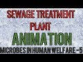 Sewage (waste water) treatment plant ANIMATION (SIMPLIFIED) for NEET and AIIMS.