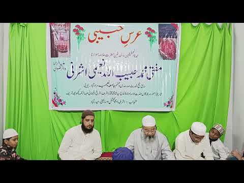 عرس حبیبی بیان مولانا محمد معارف رضا نعیمی اشرفی 23 11 23