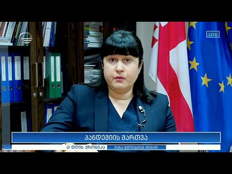 პანდემიის მართვა  - თამარ გაბუნია დღის ქრონიკაში