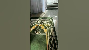 لو أنزلنا هذا القرآن على جبل لرأيته خاشعا(تلاوة من سورة الحشر )🌹قرآن كريم 🌹القارئ علي جابر