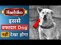        hachiko dog story in hindi  hachikodog shorts