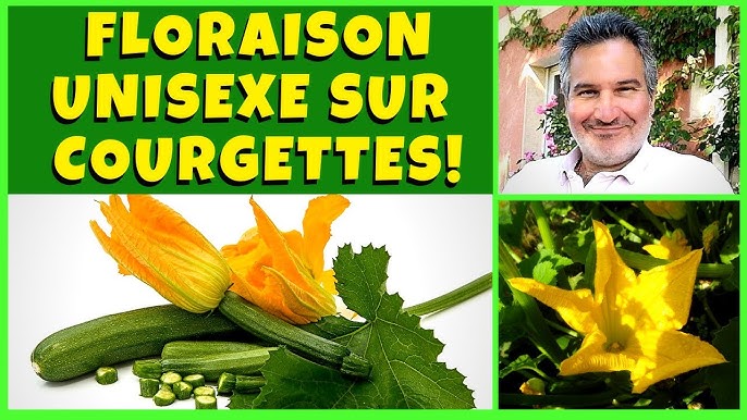 Pourquoi certaines fleurs s'ouvrent et se ferment chaque jour