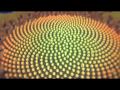 The Miracle of 528 Hz Solfeggio and Fibonacci numbers