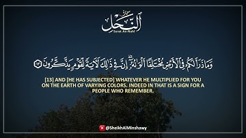 تلاوة تأخذك بعيدأ عن ضجيج الدنيا | ما تيسر من سورة النحل | الشيخ محمد صديق المنشاوي