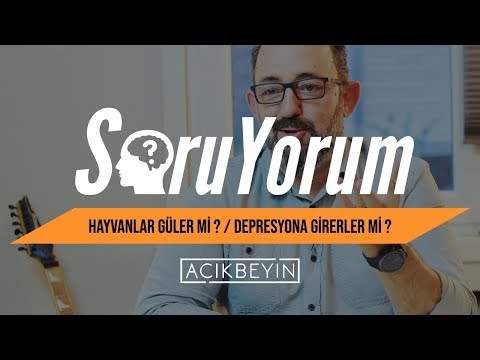 SoruYorum - Hayvanlar Güler Mi ? / Depresyona Girerler mi ?