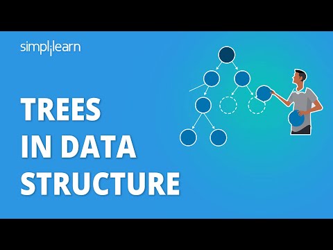 The Best Tutorial to Understand Trees in Data Structure