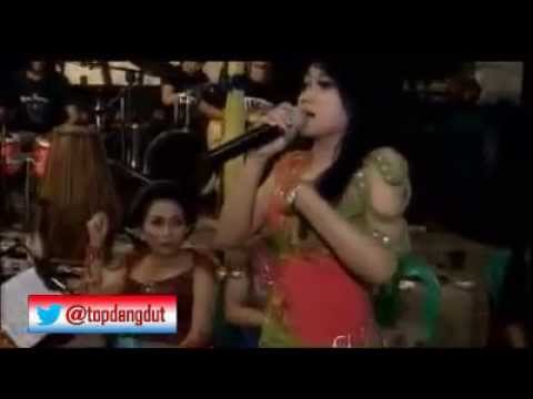 Download Kuat Kita Bersinar Nita Savana Dangdut Music Reggae Mp3 Mp4 3gp Flv Download Lagu Mp3 Gratis
