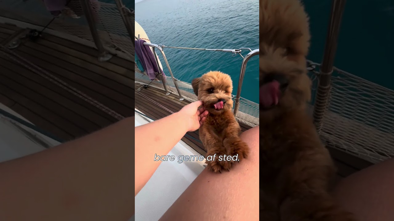 ⁣En stille stund på Formentera 🏝️ 🌞 #liveaboard