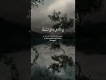 #beshak Allah hr chez pr qadir ha#free Palestine#peer ajmal kadri#qurani ayat#islamic status#shorts