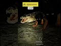فرق واضح