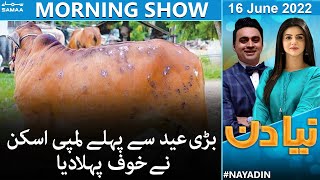 Naya Din morning show - Bari eid se pehle lumpy skin ne khauf phela diya - SAMAA TV - 16 June 2022