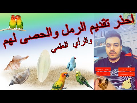 حقيقة تقديم الرمل والحصى للطيور ومدى خطورتها