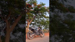 Pulsar N160 Power 💥 #shorts #viralvideo #trending
