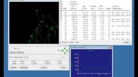 Vascular Tree Analysis with Analyze 10.0 - Webinar